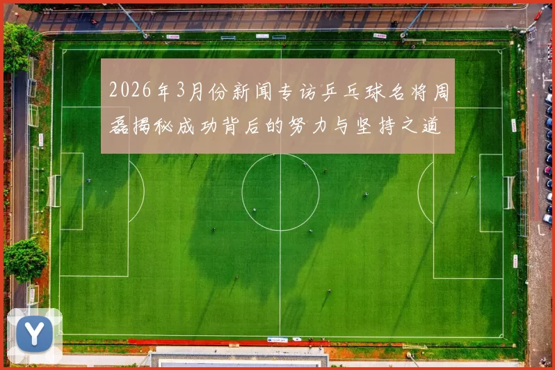 2026年3月份新闻专访乒乓球名将周磊揭秘成功背后的努力与坚持之道