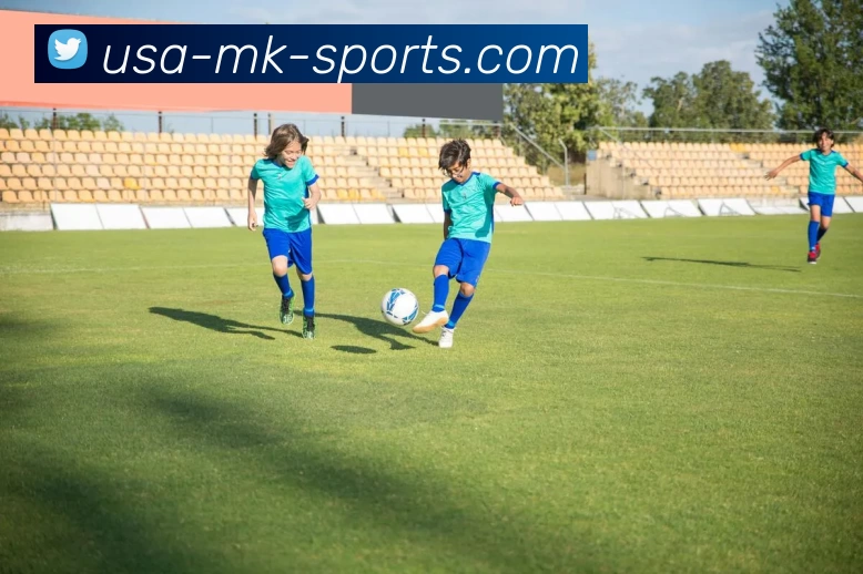 MK体育APP 封面图